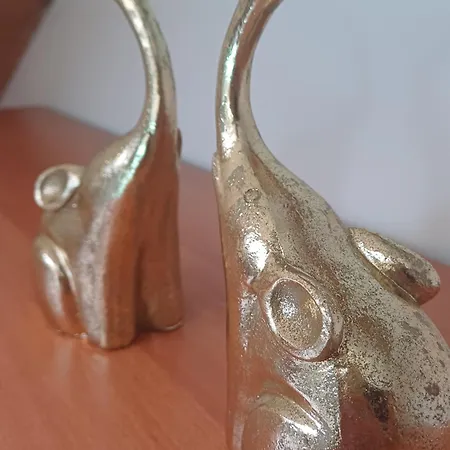 Apartmán Terra Omiš